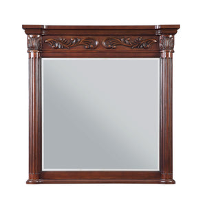 DUBLIN 38"X36" BEVELED MIRROR WITH RICH MAHOGANY